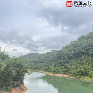 小心🐤入🍑🍑视频日本
