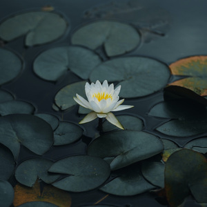 小心🐤入🍑🍑视频日本
